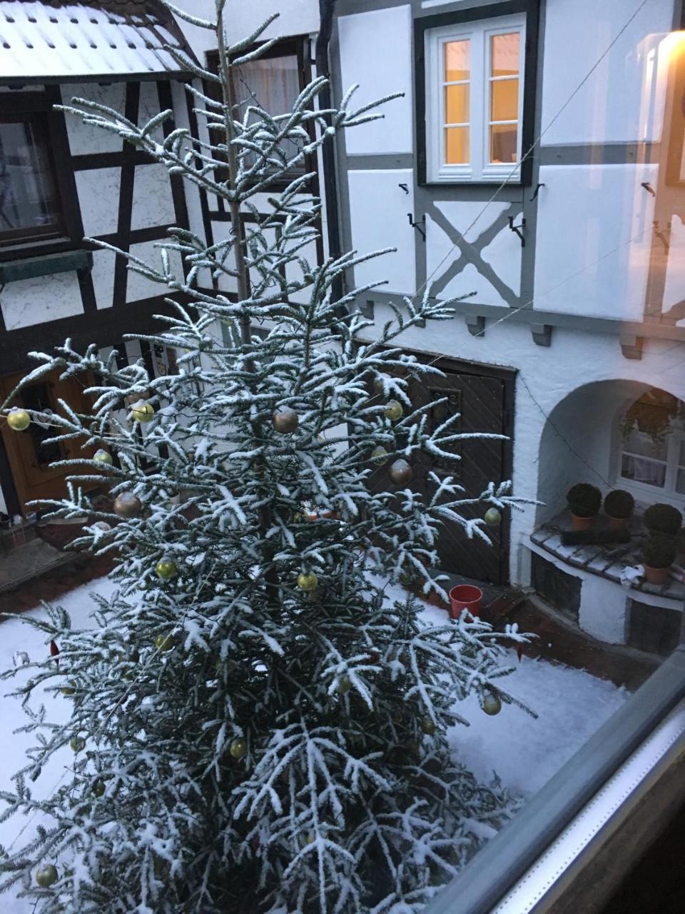 Die Grüne Bettlad Boutique-Hotel Bühl Exterior foto