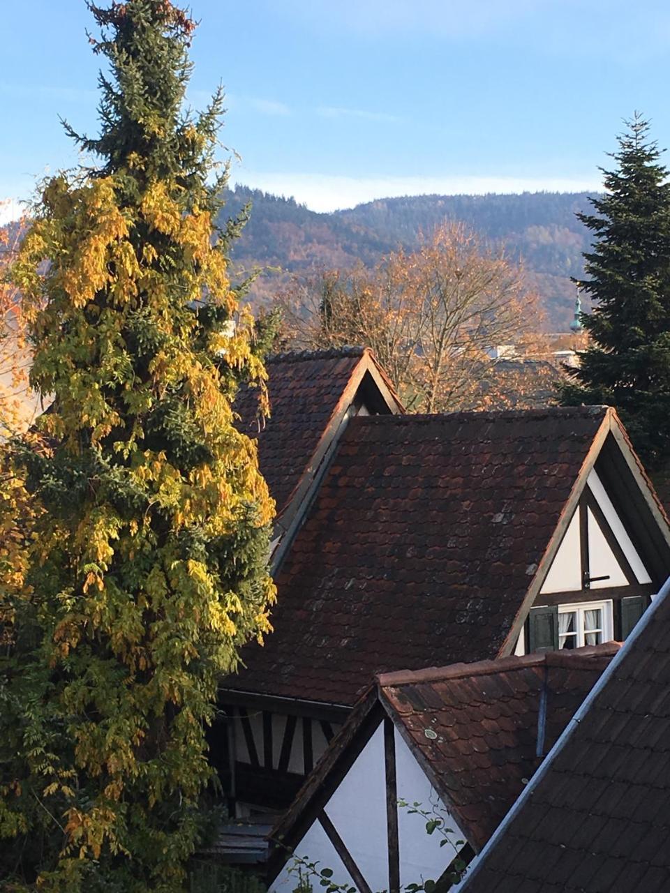 Die Grüne Bettlad Boutique-Hotel Bühl Exterior foto